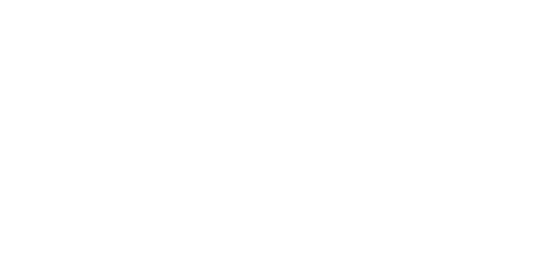 Defi logo white.png